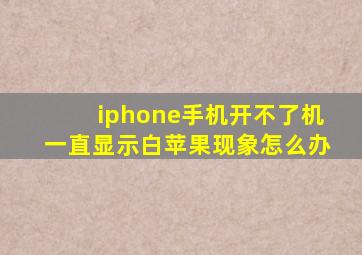 iphone手机开不了机一直显示白苹果现象怎么办