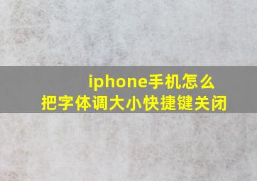 iphone手机怎么把字体调大小快捷键关闭