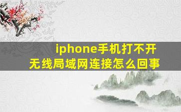 iphone手机打不开无线局域网连接怎么回事