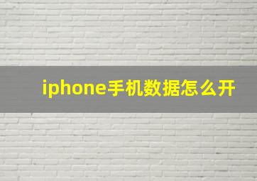 iphone手机数据怎么开