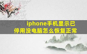 iphone手机显示已停用没电脑怎么恢复正常