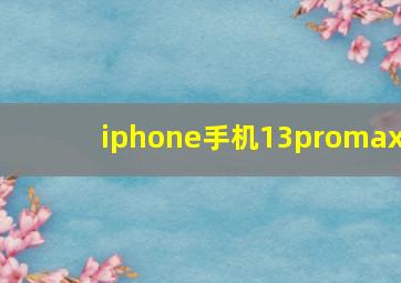 iphone手机13promax