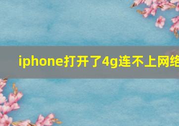 iphone打开了4g连不上网络