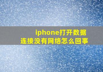 iphone打开数据连接没有网络怎么回事