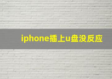 iphone插上u盘没反应