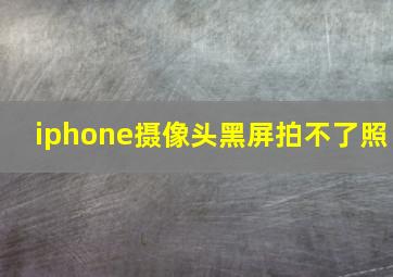 iphone摄像头黑屏拍不了照