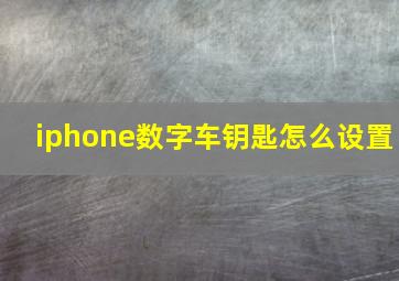 iphone数字车钥匙怎么设置