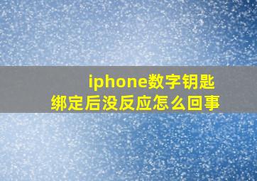 iphone数字钥匙绑定后没反应怎么回事