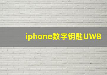 iphone数字钥匙UWB