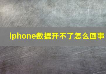 iphone数据开不了怎么回事