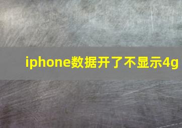 iphone数据开了不显示4g