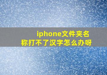 iphone文件夹名称打不了汉字怎么办呀