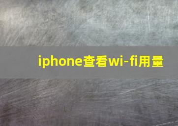 iphone查看wi-fi用量