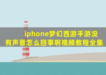 iphone梦幻西游手游没有声音怎么回事啊视频教程全集