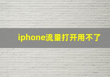 iphone流量打开用不了