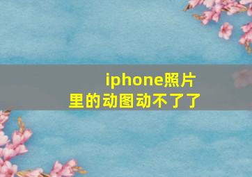 iphone照片里的动图动不了了