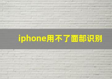 iphone用不了面部识别