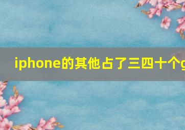 iphone的其他占了三四十个g