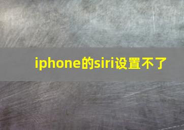 iphone的siri设置不了