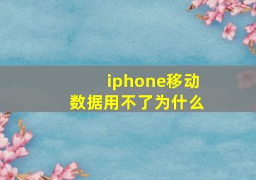 iphone移动数据用不了为什么