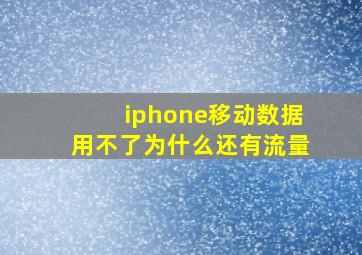 iphone移动数据用不了为什么还有流量