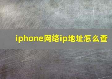 iphone网络ip地址怎么查