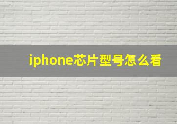 iphone芯片型号怎么看