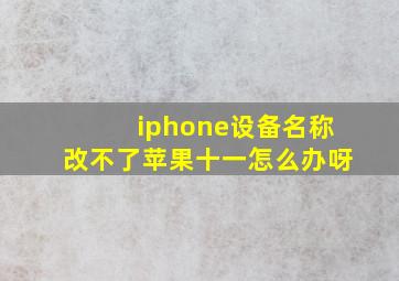 iphone设备名称改不了苹果十一怎么办呀