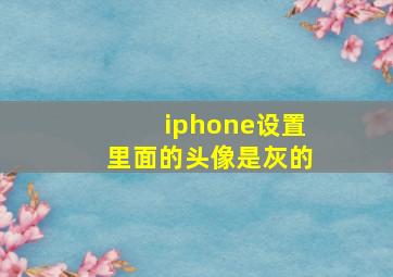 iphone设置里面的头像是灰的