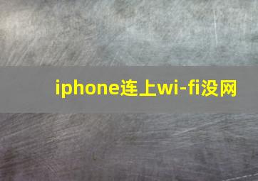 iphone连上wi-fi没网