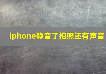 iphone静音了拍照还有声音