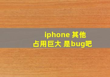 iphone 其他占用巨大 是bug吧