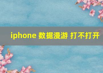 iphone 数据漫游 打不打开