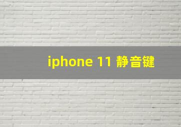 iphone 11 静音键