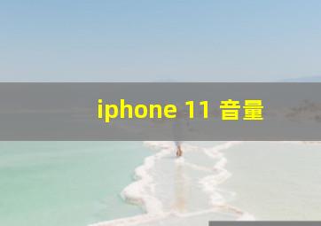 iphone 11 音量