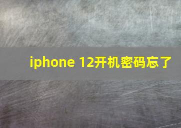 iphone 12开机密码忘了