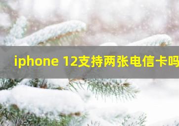 iphone 12支持两张电信卡吗?