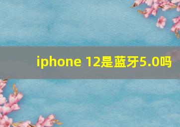 iphone 12是蓝牙5.0吗