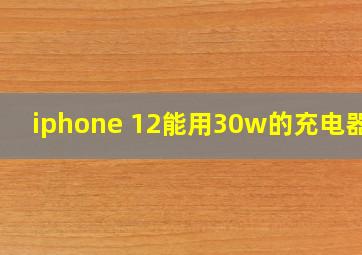 iphone 12能用30w的充电器吗