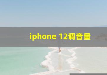 iphone 12调音量