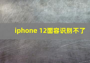 iphone 12面容识别不了