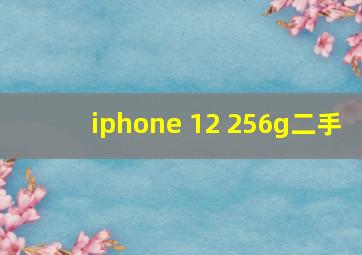 iphone 12 256g二手