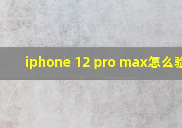 iphone 12 pro max怎么验机