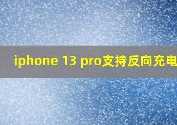 iphone 13 pro支持反向充电吗