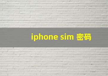 iphone sim 密码