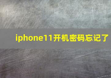 iphone11开机密码忘记了