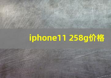 iphone11 258g价格