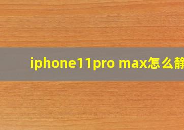 iphone11pro max怎么静音