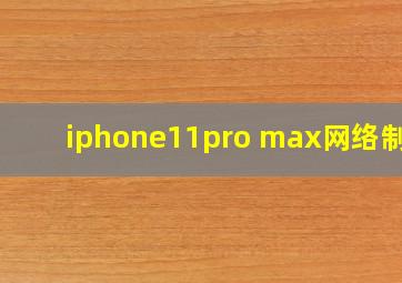 iphone11pro max网络制式