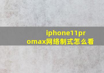 iphone11promax网络制式怎么看